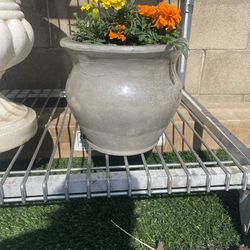 10.5 “ Flower Pots Cement Cast Stone Belly Pots (Macetas) ONLY!!!