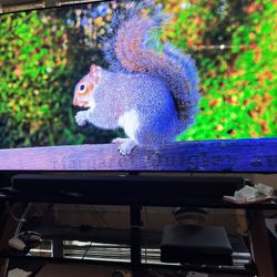 75" Class Neo QLED 4K QN90D