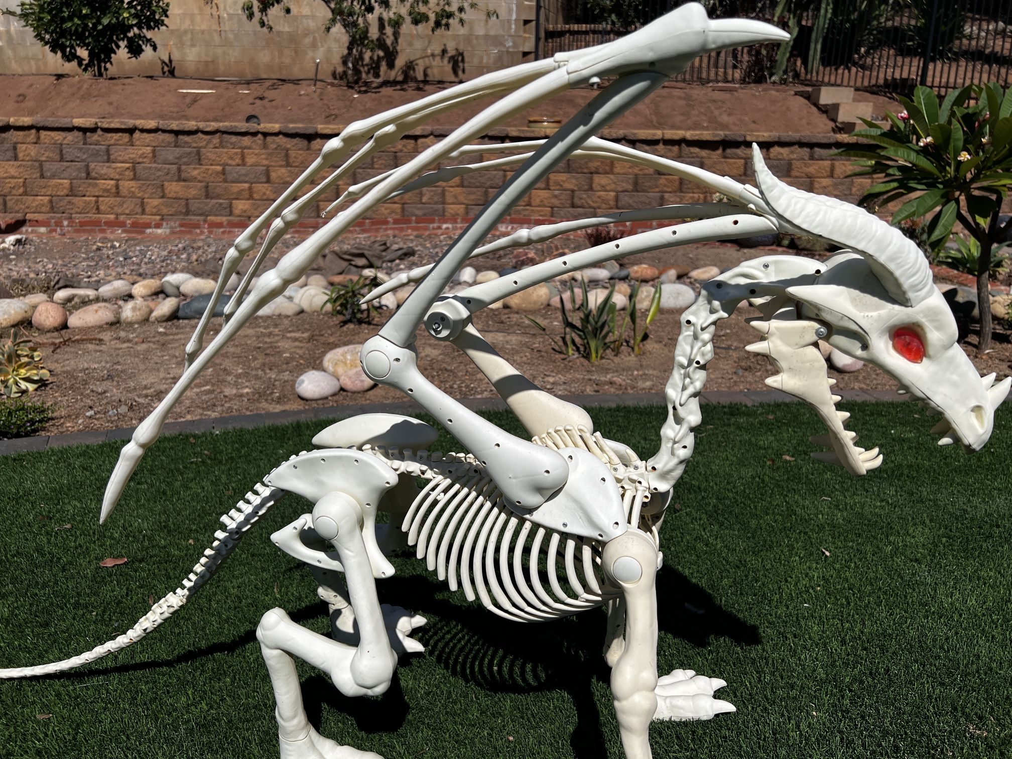 Dragon Skeleton