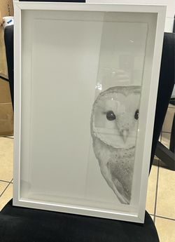 Owl Picture Frame