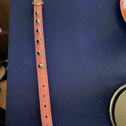 Pink Dog Collar 