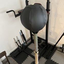 Cobra Speed Bag