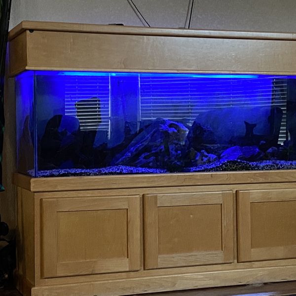 135 Gallon Fish Tank With Stand And Accessories for Sale in The Colony