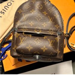 Louis Vuitton Palm Springs Mini