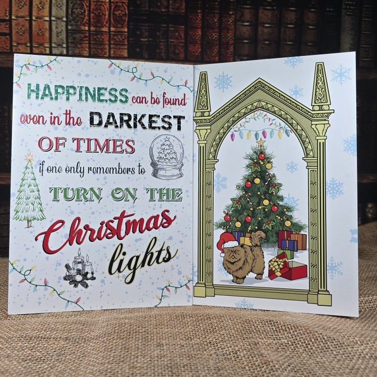 Set of 2 Harry Potter Themed Christmas Cards w Envelopes - Mirror of Erised & Du