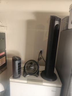 3 fans