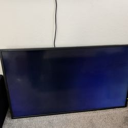 NEC 55” Monitor