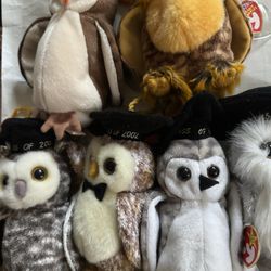 6 Lot TY Graduation Owls From 1998 To 2004 As Picturesd