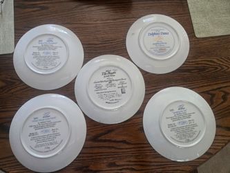 collector dishes