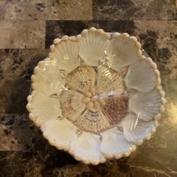 Shell Dish - Shell Basket - Beach - Candy Dish - Bathroom 