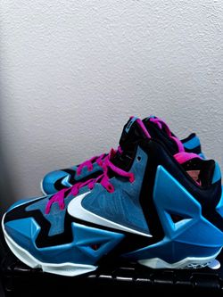South beach LeBrons sz 9
