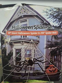 Halloween Spider Set 59" Spider & 200" Web