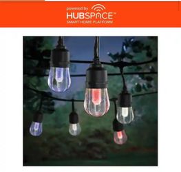 Hampton Bay Smart Black 12-Light 24 ft. Indoor/Outdoor Plug-in Integrated LED RGBW String Light wit=X4-505