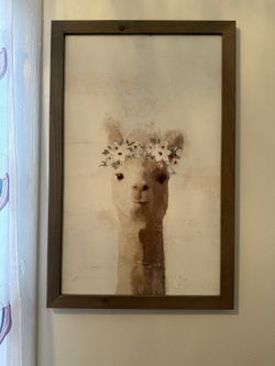 Llama Frames 