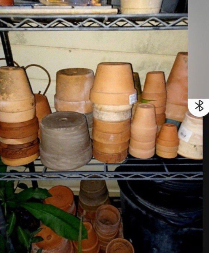 Clay House Plant Pots