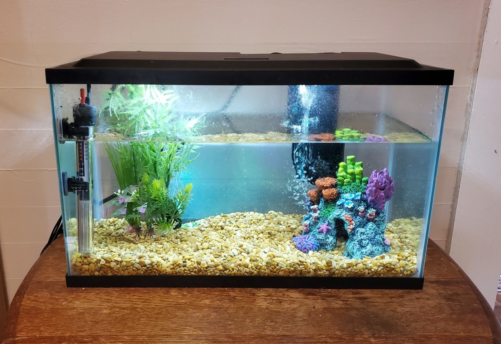 10 Gallon Aqua Culture Aquarium Fish Tank