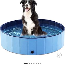 Dog Pool 
