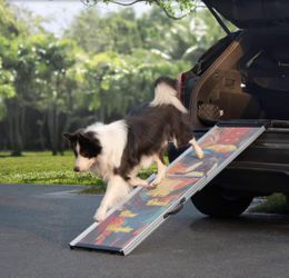 Telescoping Dog Ramp Steps for Trucks SUV