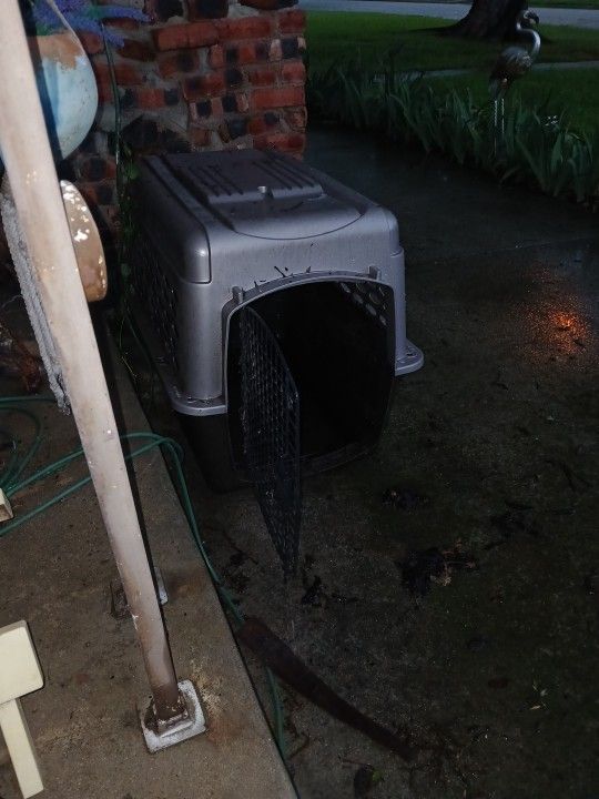 BIG DOG KENNEL