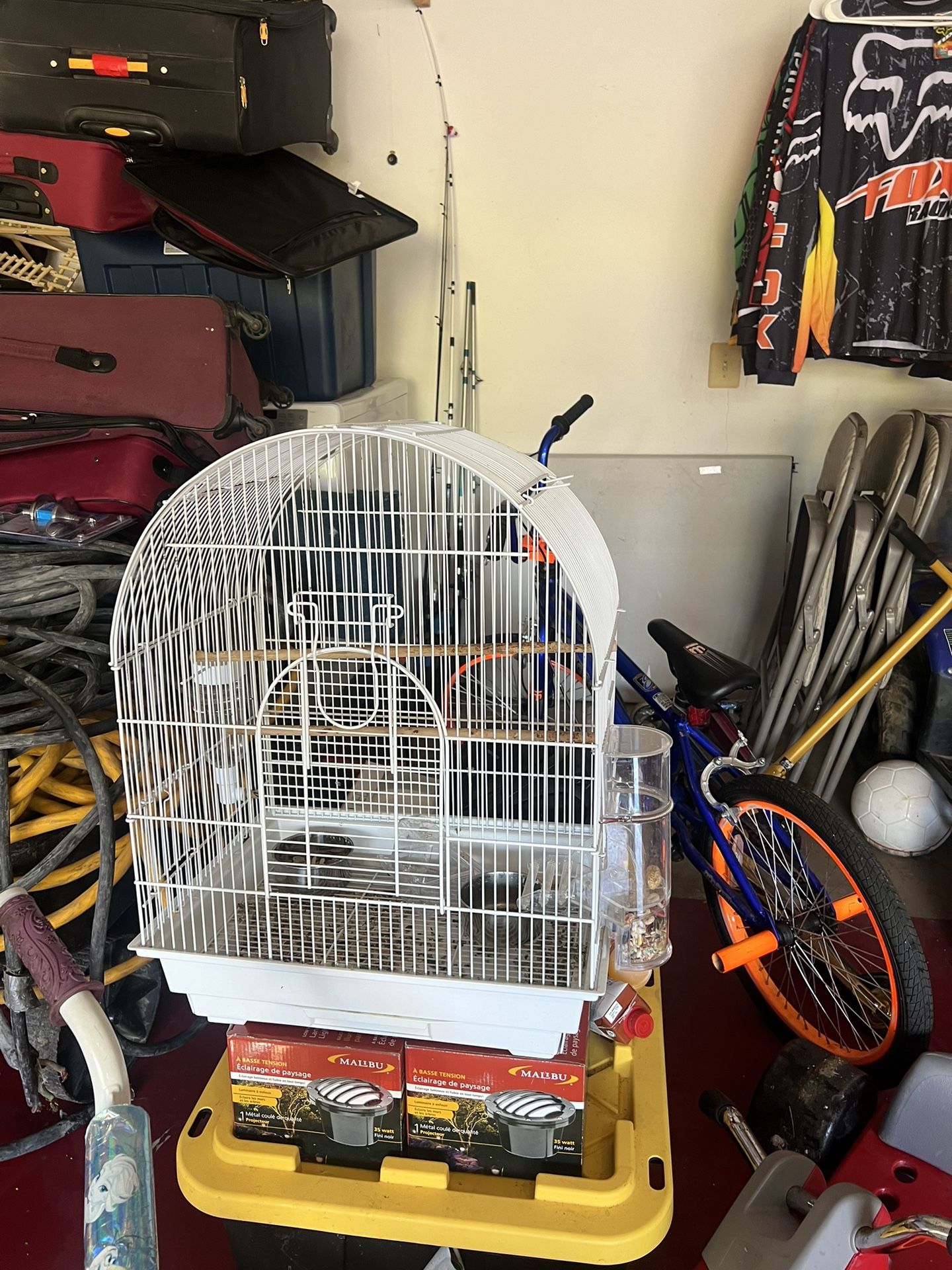 Bird Cage 