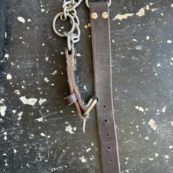 Mighty Paw Martingale Collar 