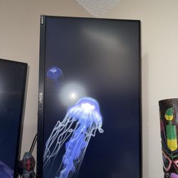 24" 4k IPS 165hz Monitor