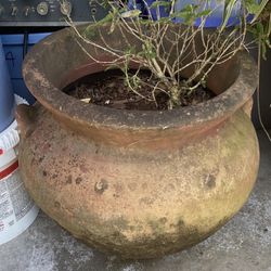 Ceramic Large Plant Pot