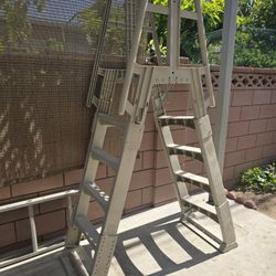 Large Heavy Duty Pool Ladder