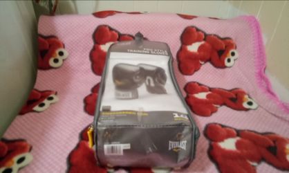 Everlast Pro Style Training Gloves 14 Ounces