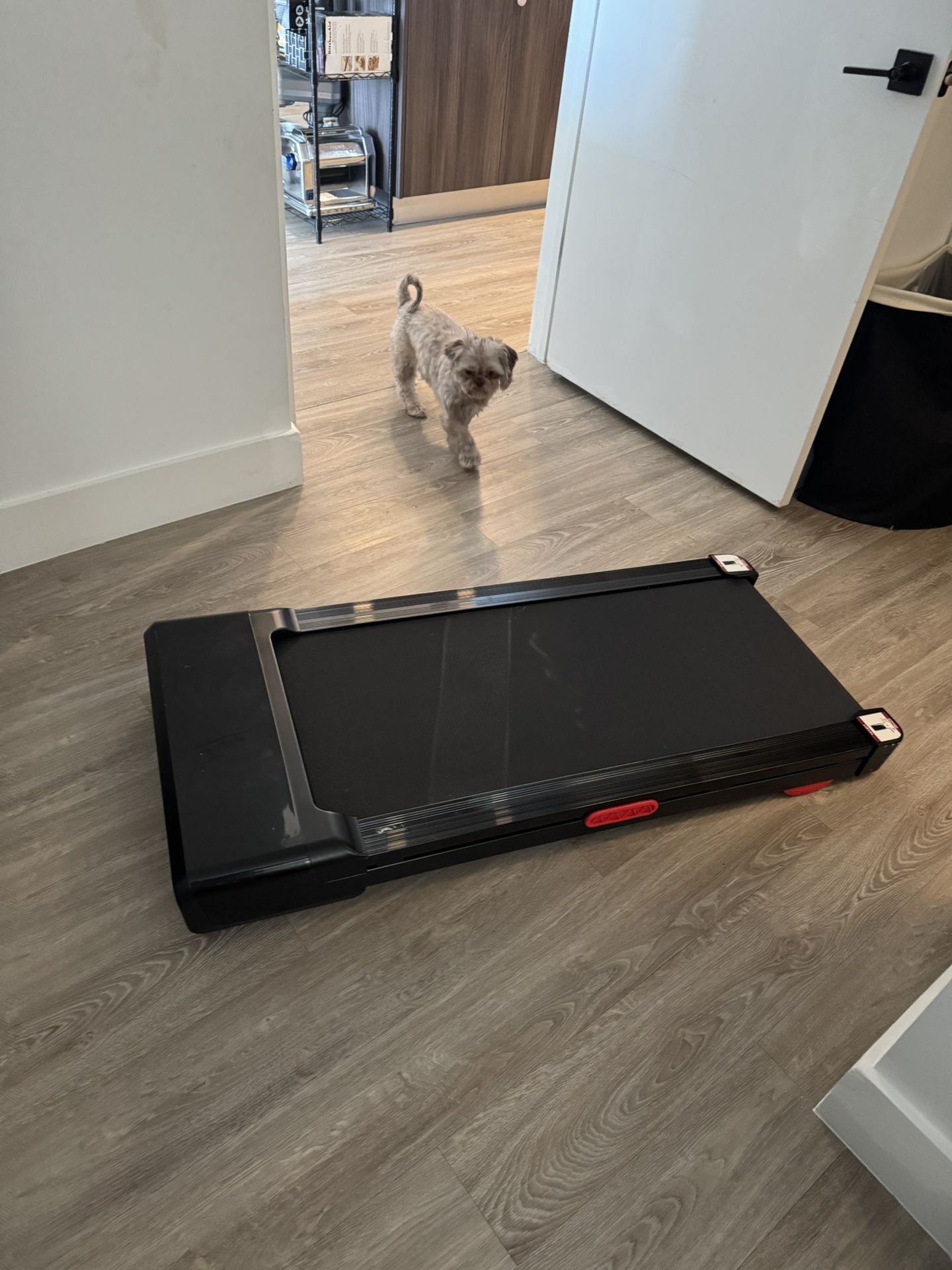 Walking Pad Exercises