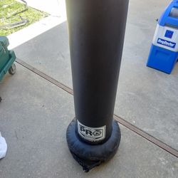 Pro Kids Punching Bag $140