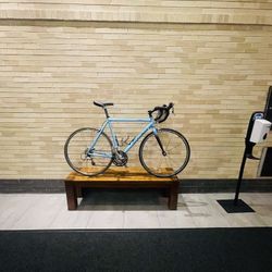 Beautiful Bicycle Trek Road Bike 