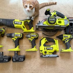 RYOBI Brushless Set Minus The Cat