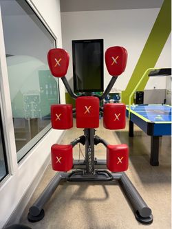Nexersys iPower Boxing Trainer