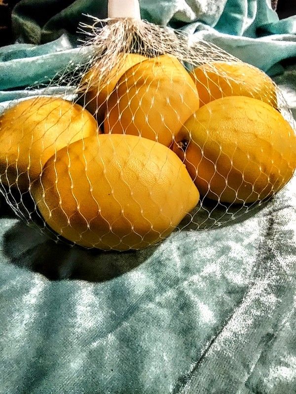 Way Fair Allen Grove False Realistic Lemons 6 In Bag
