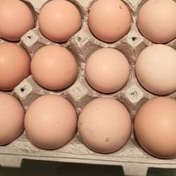 Fresh Cage-free Eggs