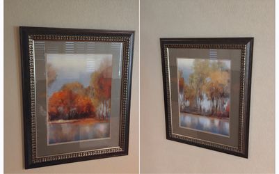 Watercolor nature lithographs