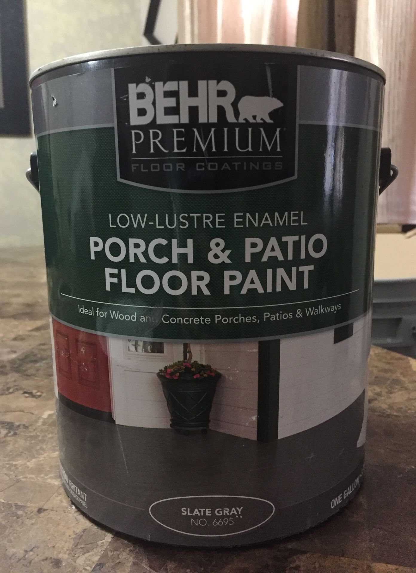 $15.00 1 gal concrete paint