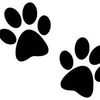 Paws 🐶