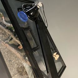 40 gallon reptile tank