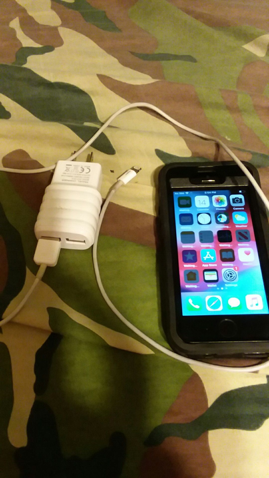 IPhone 5 S (16GB) with charger and otterbox