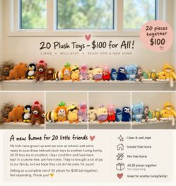 20 Plush Toys Bundle – All for $100