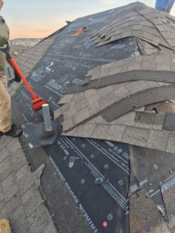 Roof shingles