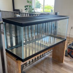 75 Gallon Aquarium