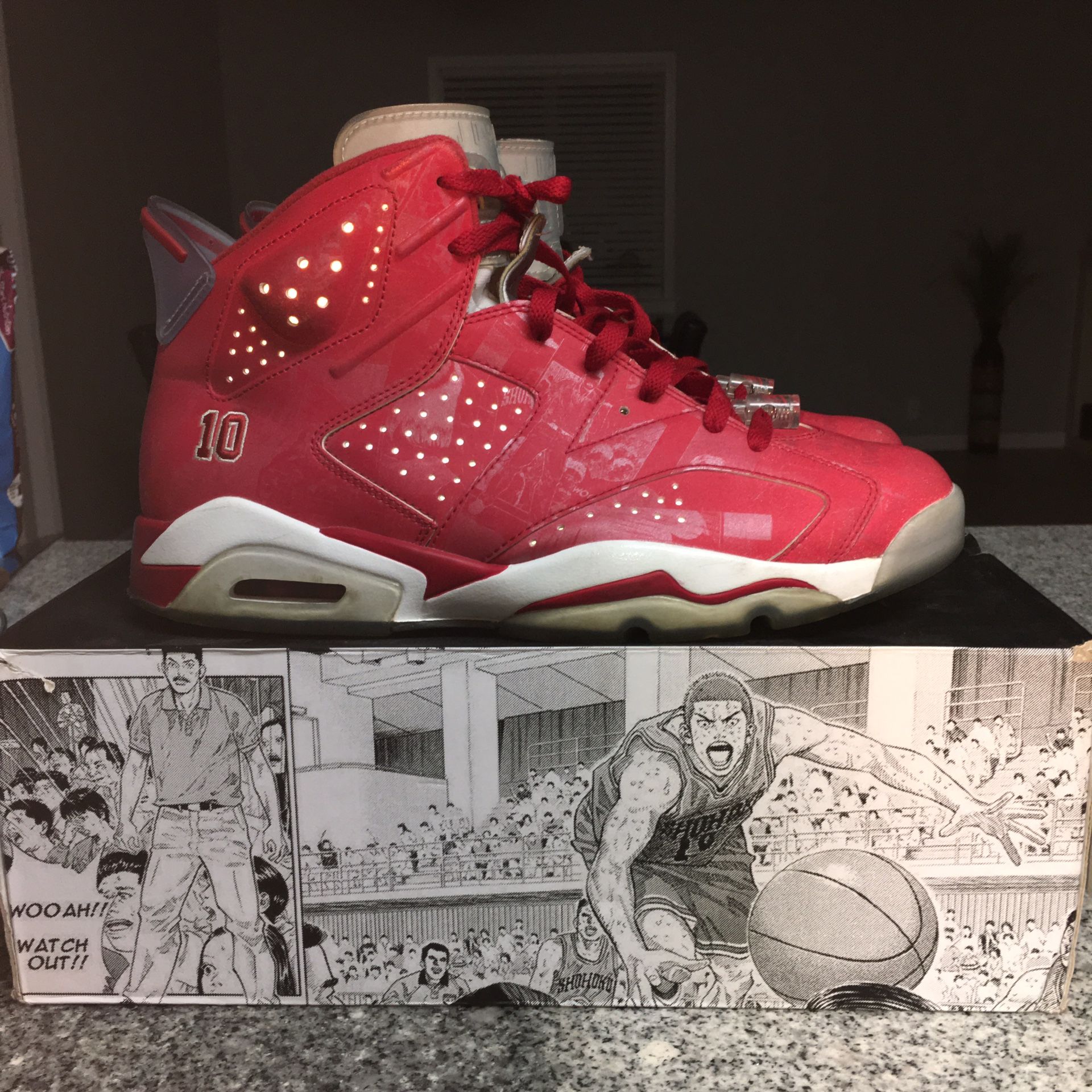 Jordan retro 6 slam dunk size 11