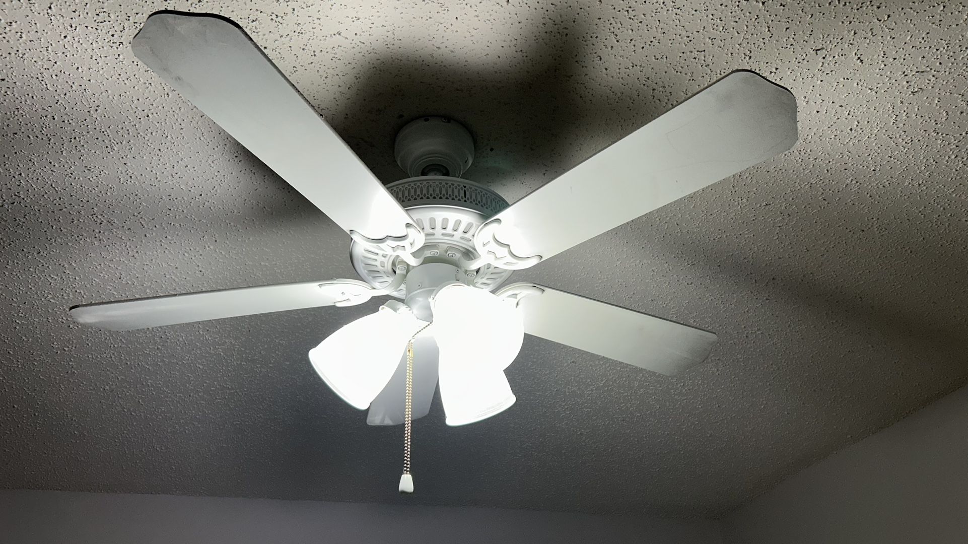 Ceiling Fan