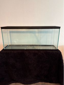 50 Gallon Terrarium