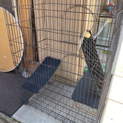 Huge Cage