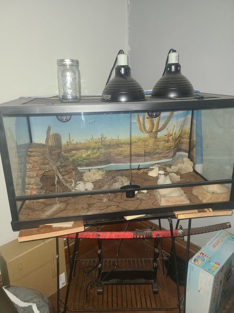 Terrarium 
