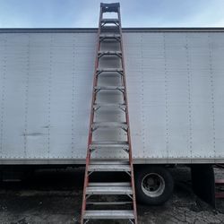 12 Feet Ladder 